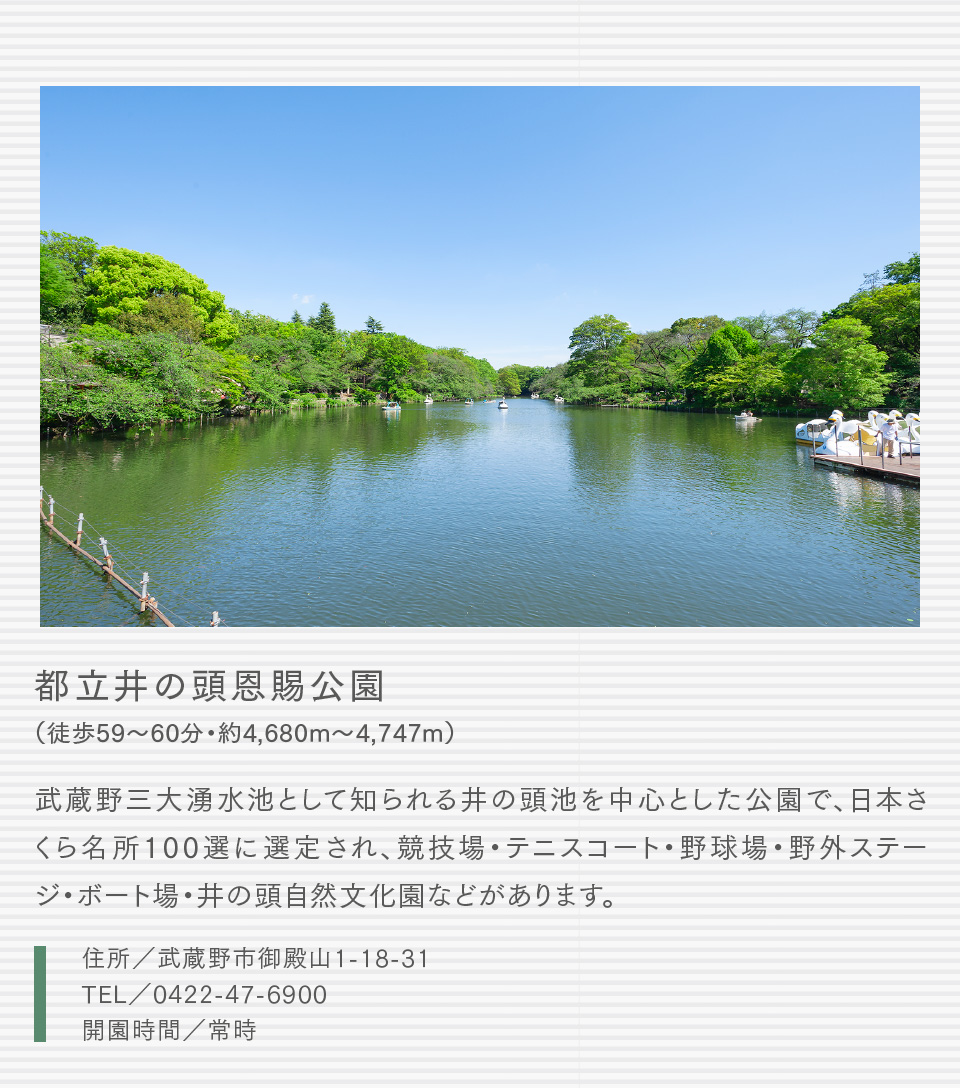 都立井の頭恩賜公園（徒歩59〜60分・約4,680m〜4,747m）武蔵野三大湧水池として知られる井の頭池を中心とした公園で、日本さくら名所100選に選定され、競技場・テニスコート・野球場・野外ステージ・ボート場・井の頭自然文化園などがあります。