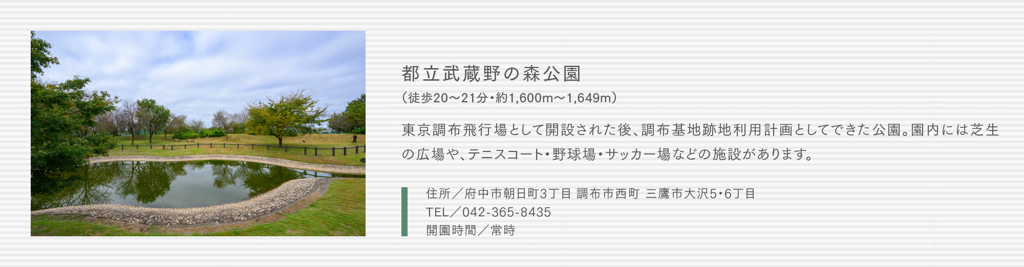 都立武蔵野の森公園（徒歩20〜21分・約1,600m〜1,649m）東京調布飛行場として開設された後、調布基地跡地利用計画としてできた公園。園内には芝生の広場や、テニスコート・野球場・サッカー場などの施設があります。