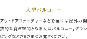 大型バルコニー