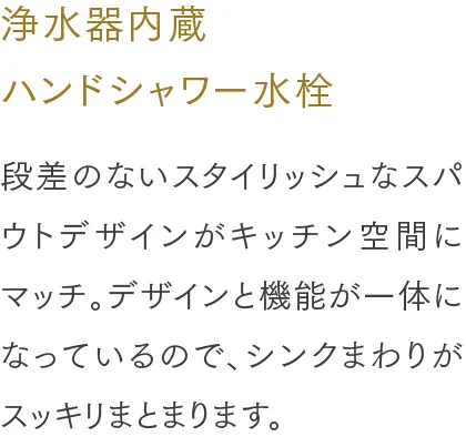 浄水器内蔵ハンドシャワー水栓