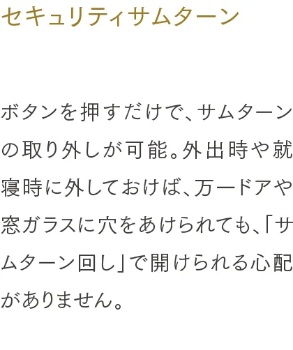 セキュリティサムターン
