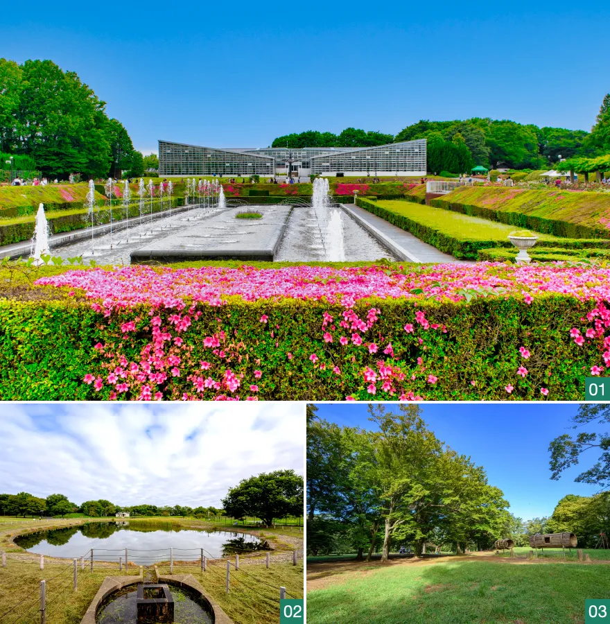 武蔵野の森公園 野川公園 神代植物公園