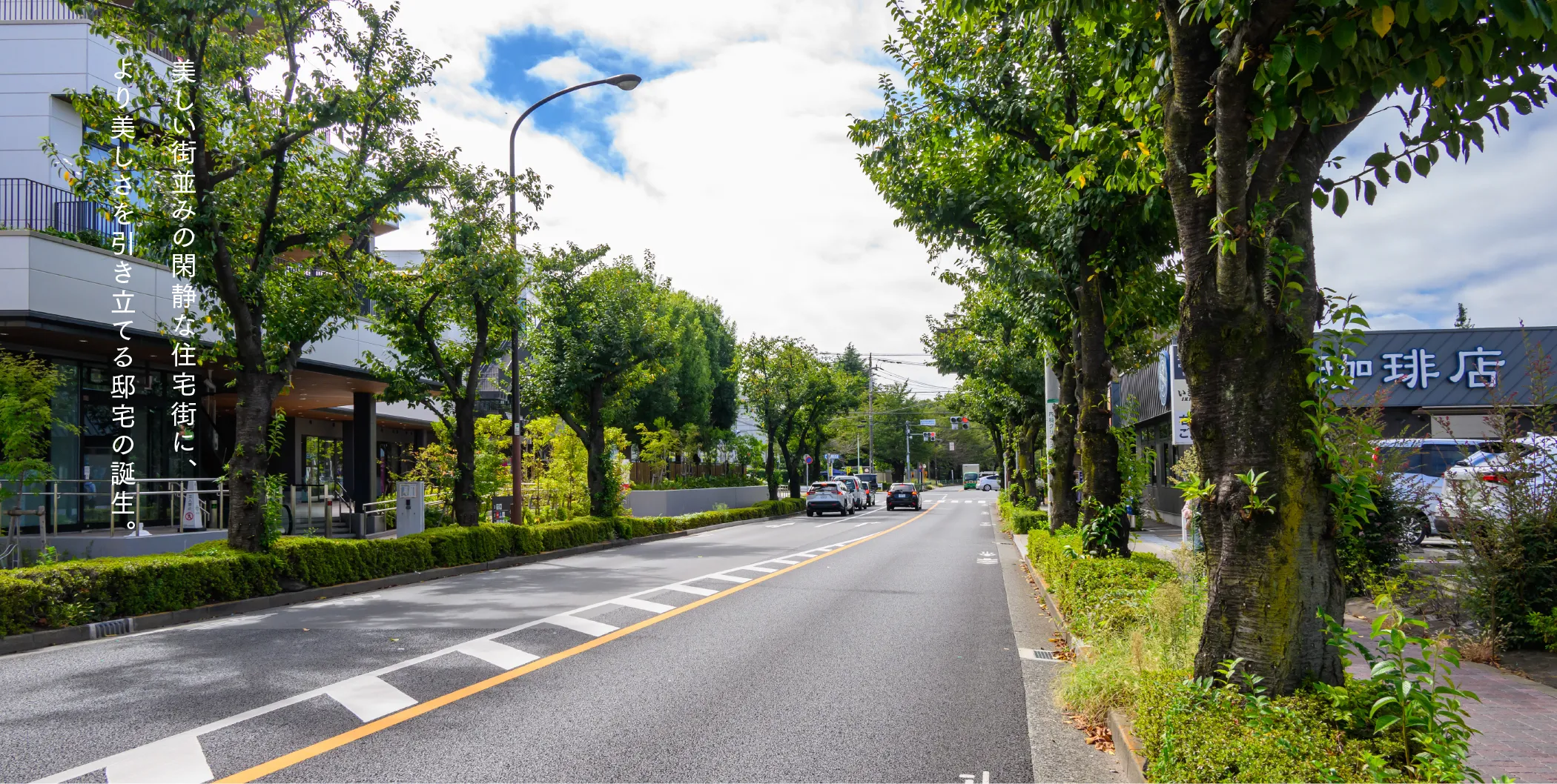 美しい街並みの閑静な住宅街に、より美しさを引き立てる邸宅の誕生。