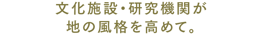 文化施設・研究機関が地の風格を高めて。