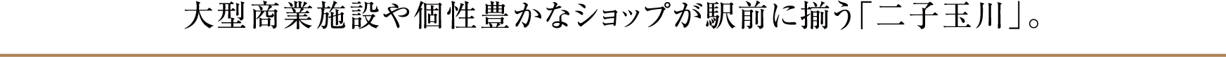 大型商業施設や個性豊かなショップが駅前に揃う「二子玉川」。