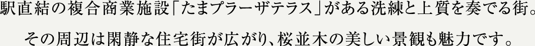 駅直結の複合商業施設「たまプラーザテラス」がある洗練と上質を奏でる街。その周辺は閑静な住宅街が広がり、桜並木の美しい景観も魅力です。