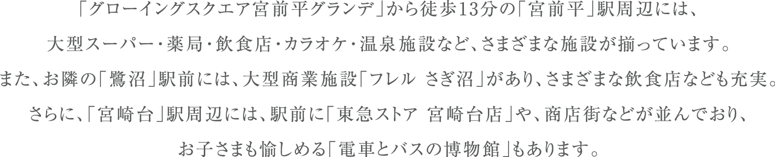 「グローイングスクエア宮前平」から徒歩13分の「宮前平」駅周辺には、大型スーパー・薬局・飲食店・カラオケ・温泉施設など、さまざまな施設が揃っています。また、お隣の「鷺沼」駅前には、大型商業施設「フレル さぎ沼」があり、さまざまな飲食店なども充実。さらに、「宮崎台」駅周辺には、駅前に「東急ストア 宮崎台店」や、商店街などが並んでおり、お子さまも愉しめる「電車とバスの博物館」もあります。