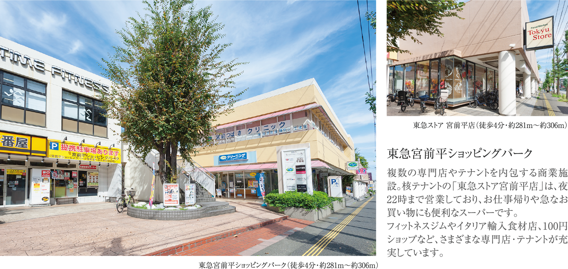 東急宮前平ショッピングパーク（徒歩4分・約281m～約306ｍ）　東急ストア 宮前平店（徒歩4分・約281m～約306ｍ）　東急宮前平ショッピングパーク　複数の専門店やテナントを内包する商業施設。核テナントの「東急ストア宮前平店」は、夜22時まで営業しており、お仕事帰りや急なお買い物にも便利なスーパーです。フィットネスジムやイタリア輸入食材店、100円ショップなど、さまざまな専門店･テナントが充実しています。
										