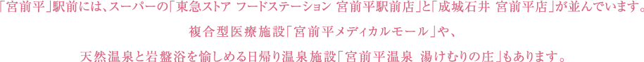 「宮前平」駅前には、スーパーの「東急ストア フードステーション 宮前平駅前店」と「成城石井 宮前平店」が並んでいます。複合型医療施設「宮前平メディカルモール」や、天然温泉と岩盤浴を愉しめる日帰り温泉施設「宮前平温泉 湯けむりの庄」もあります。