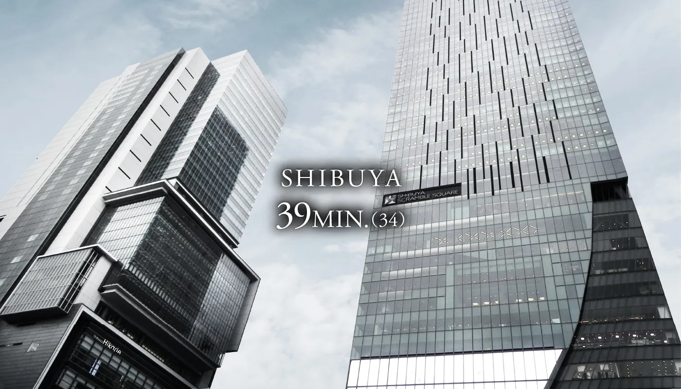 SHIBUYA