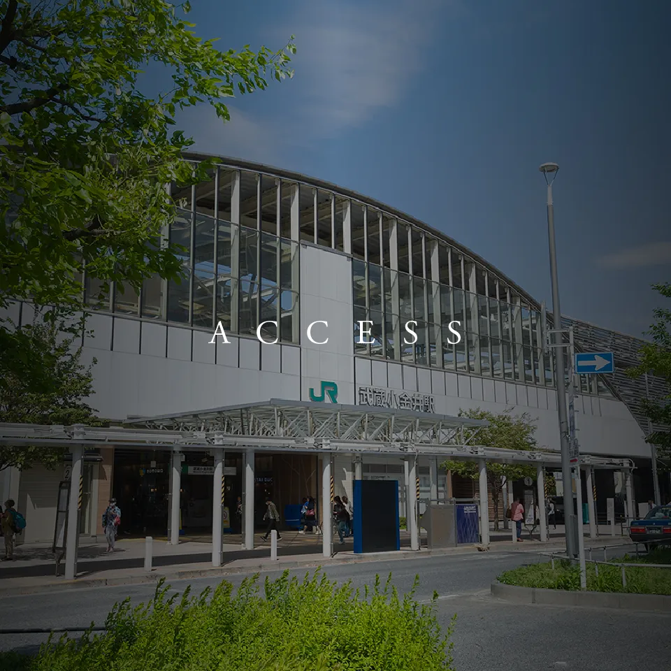 ACCESS