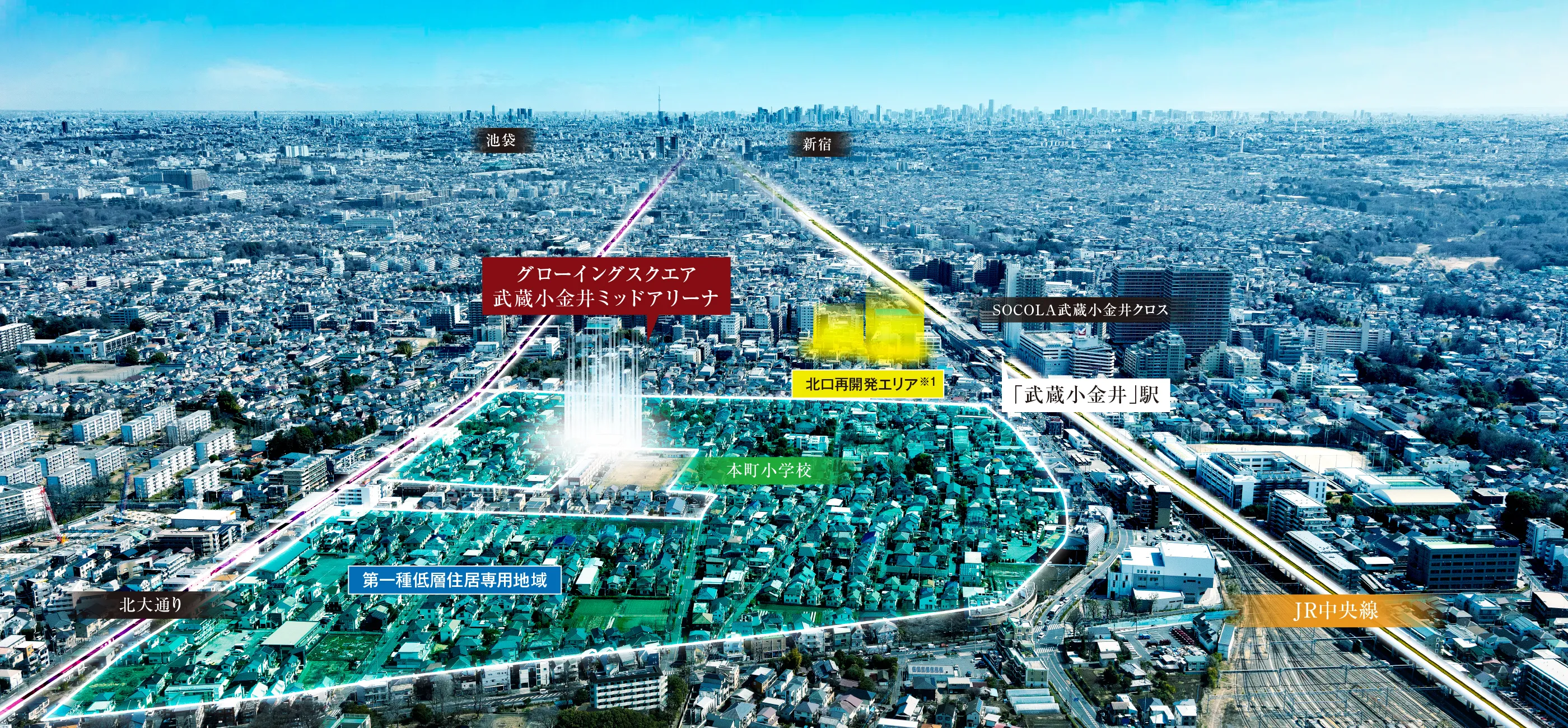 航空写真