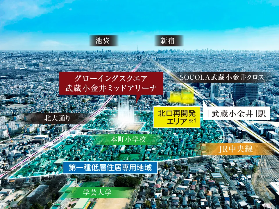 航空写真