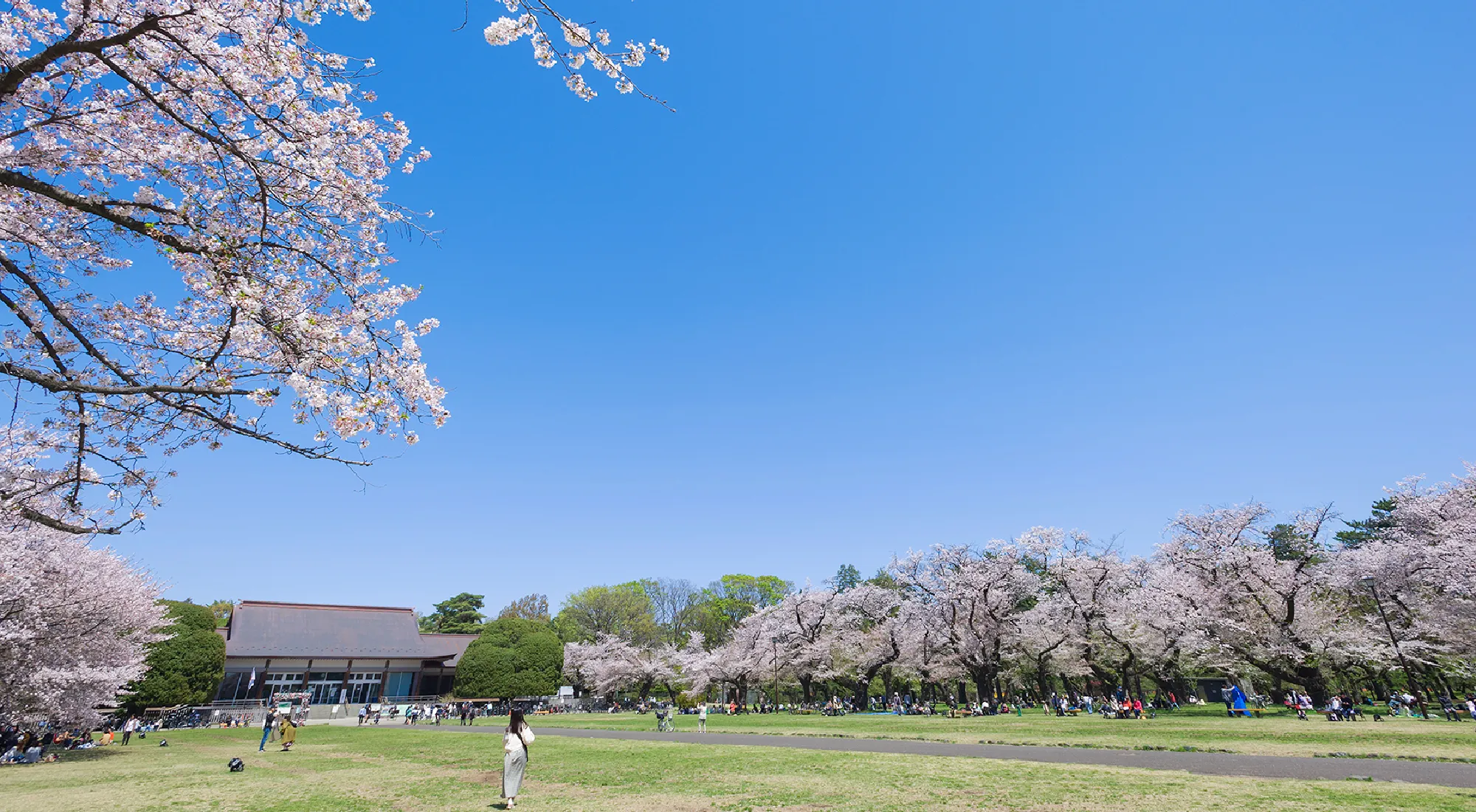 都立小金井公園