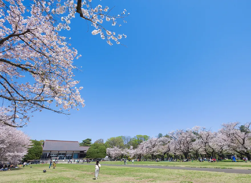 都立小金井公園