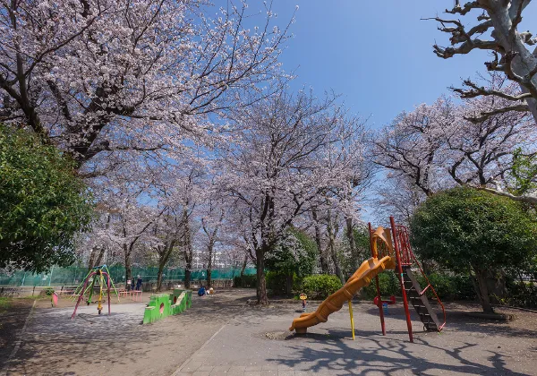 上水公園（徒歩9分・約650m〜約694m）