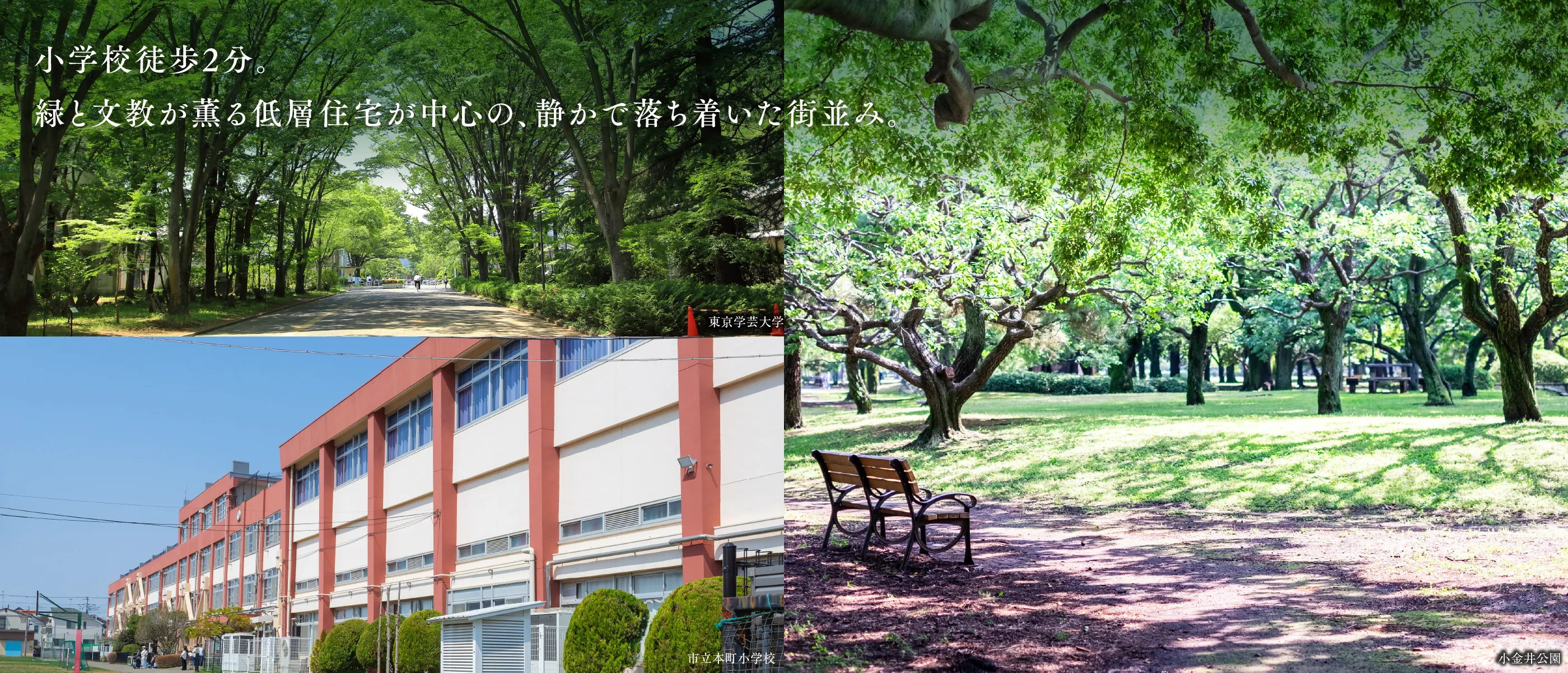 小学校徒歩2分。緑と文教が薫る第一種低層住居専用エリア。