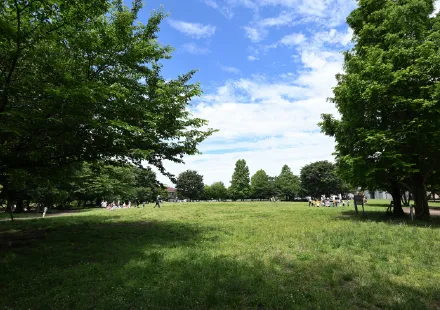 中村かしわ公園
