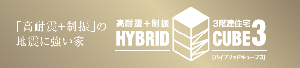 HYBRID CUBE3