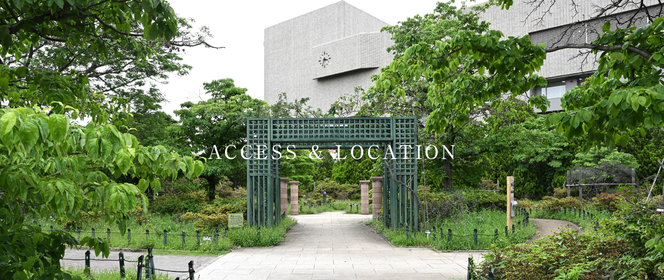練馬区立平成つつじ公園