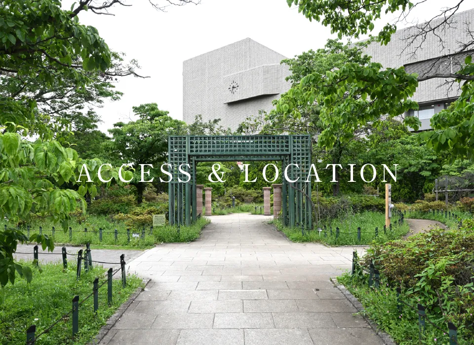 練馬区立平成つつじ公園