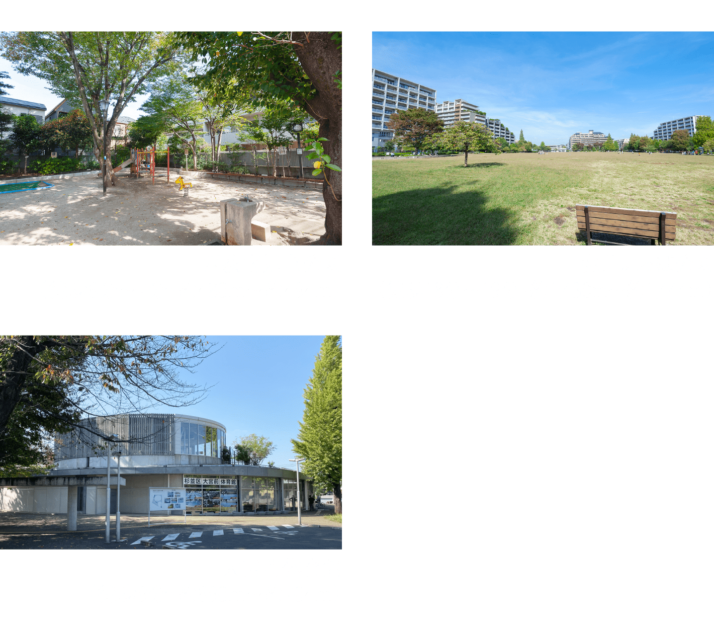 西荻南児童公園・桃井原っぱ公園・大宮前体育館
