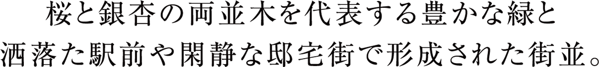 桜と銀杏の両並木を代表する豊かな緑と洒落た駅前や閑静な邸宅街で形成された街並。