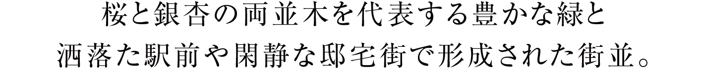桜と銀杏の両並木を代表する豊かな緑と洒落た駅前や閑静な邸宅街で形成された街並。