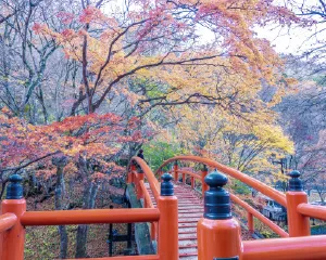 「渋川・伊香保」IC