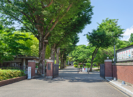 成蹊中学・高等学校
