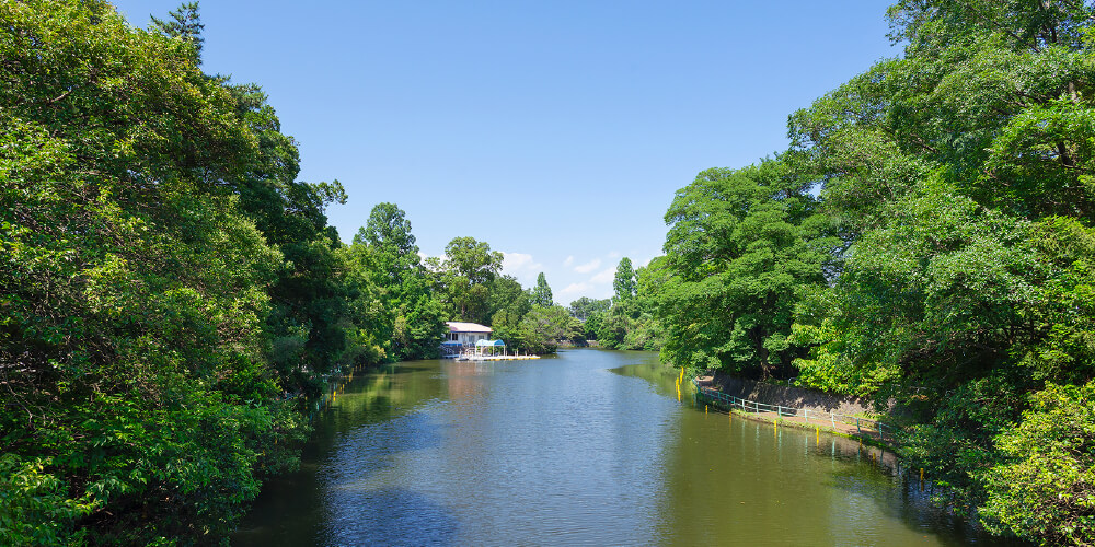 武蔵関公園
