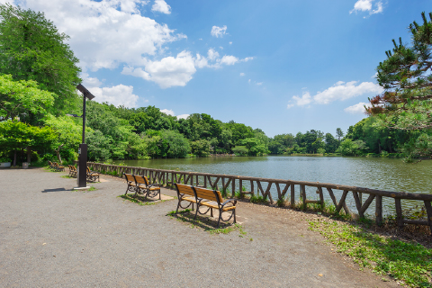 都立善福寺公園