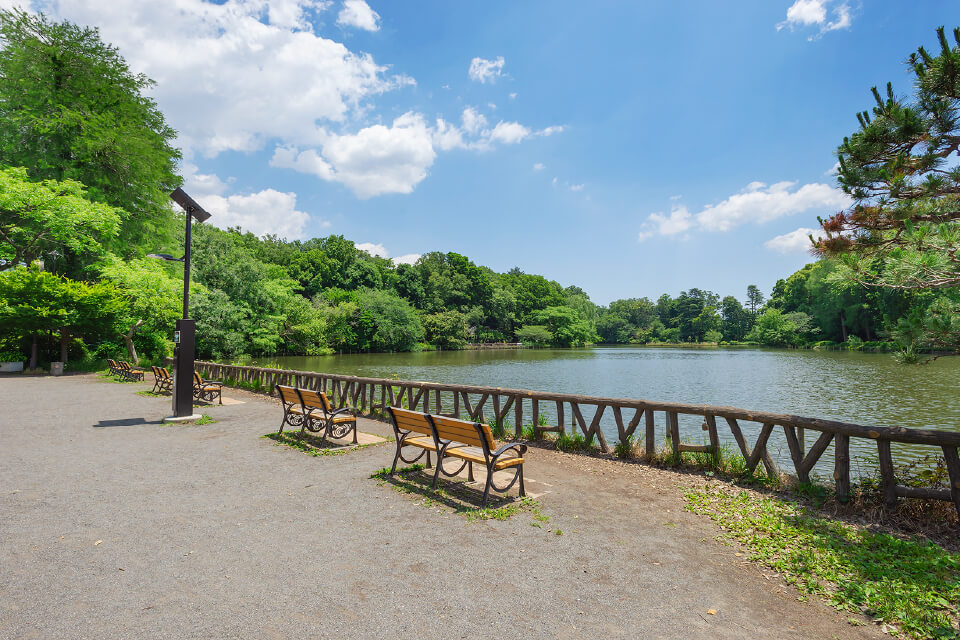 都立善福寺公園