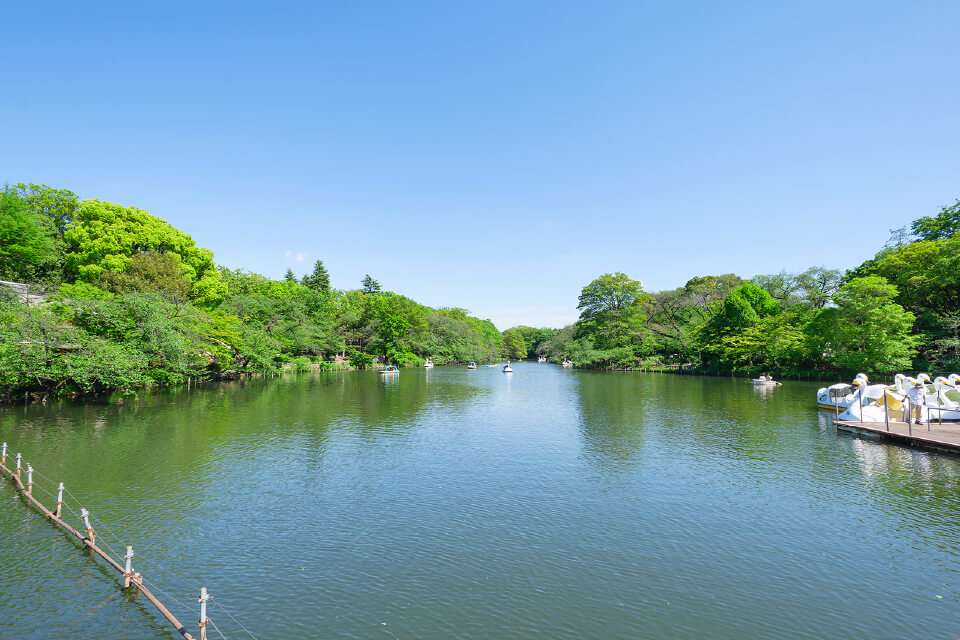 都立井の頭恩賜公園