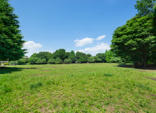 立野公園