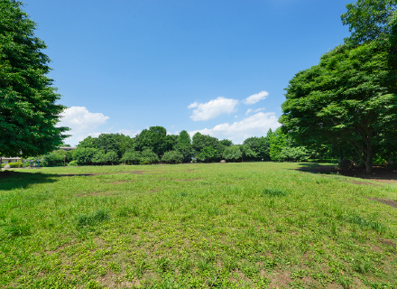 立野公園