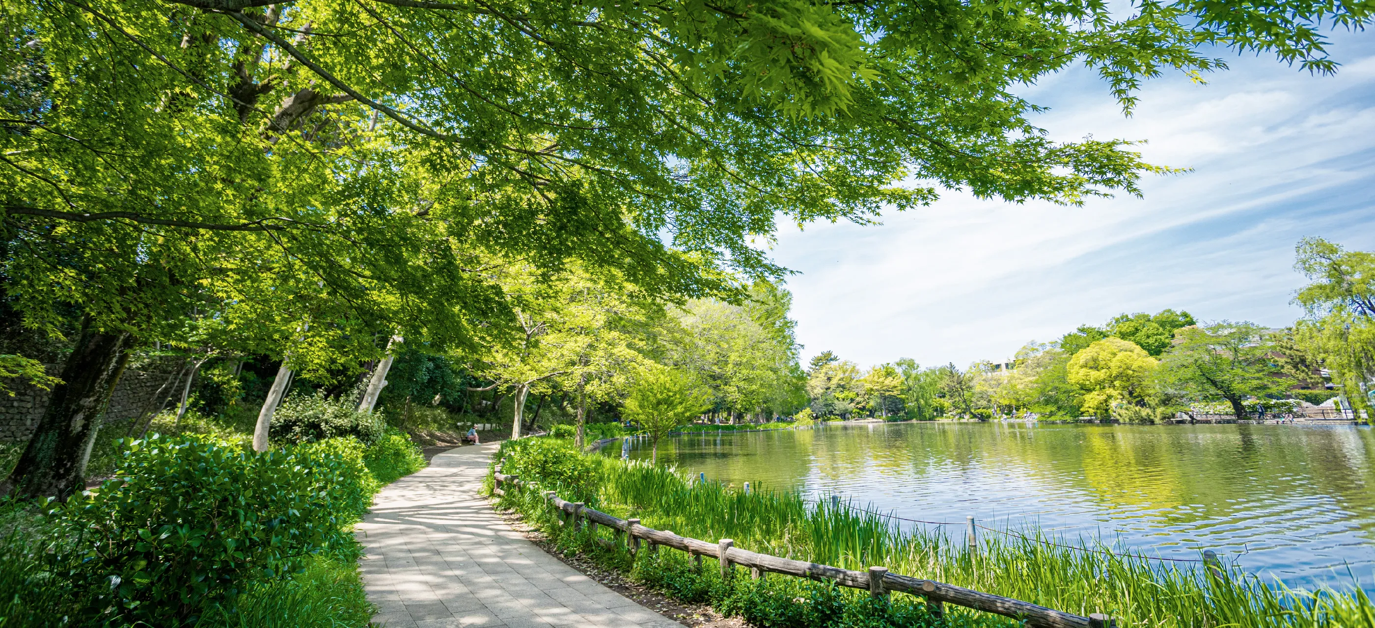 都立石神井公園 （徒歩17分・約1,301m〜約1,350m）