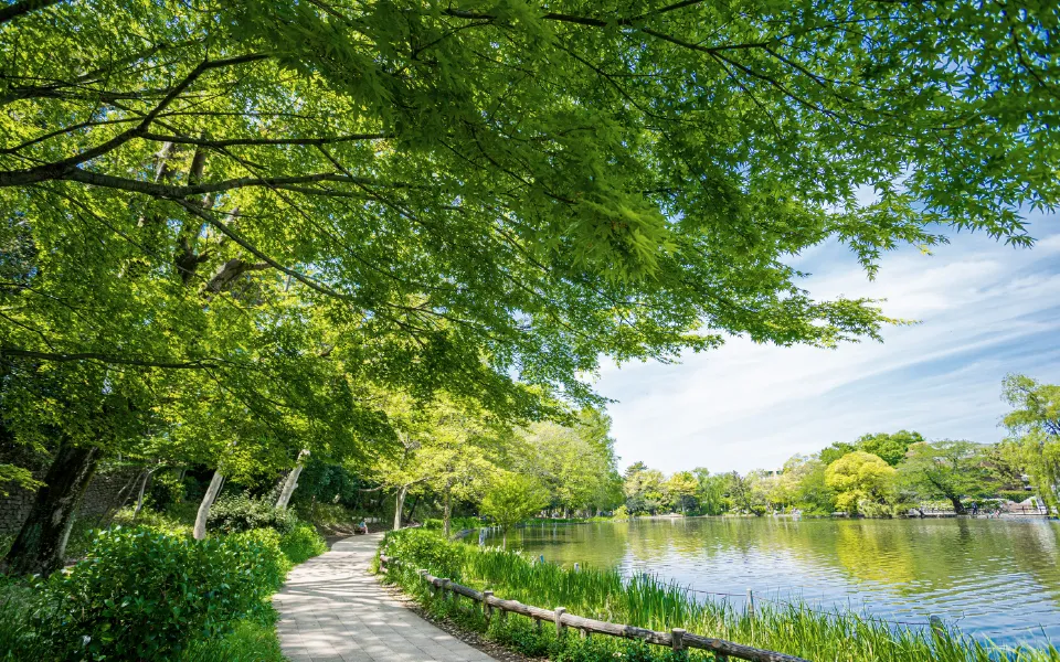 都立石神井公園 （徒歩17分・約1,301m〜約1,350m）