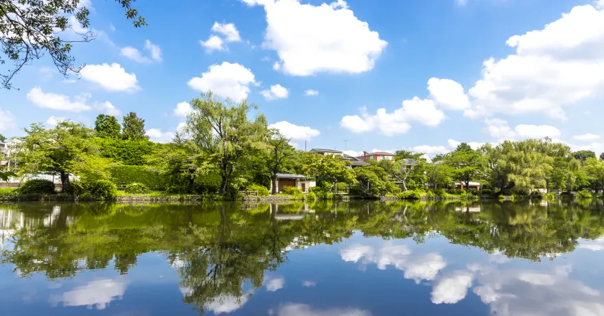 都立石神井公園
