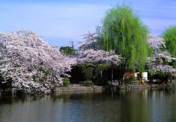 都立石神井公園