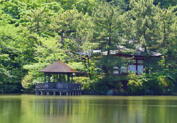 都立石神井公園