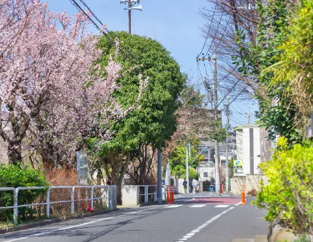 現地付近の住宅街