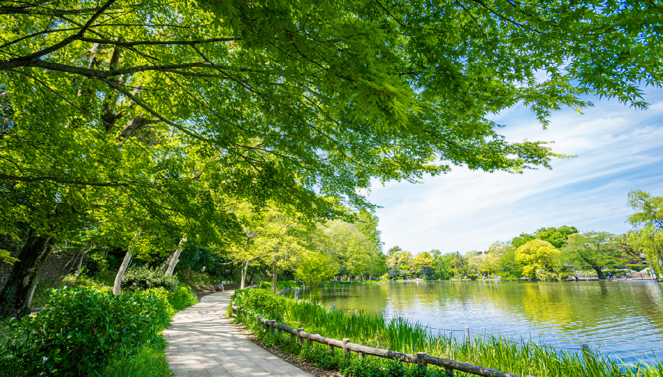 都立石神井公園