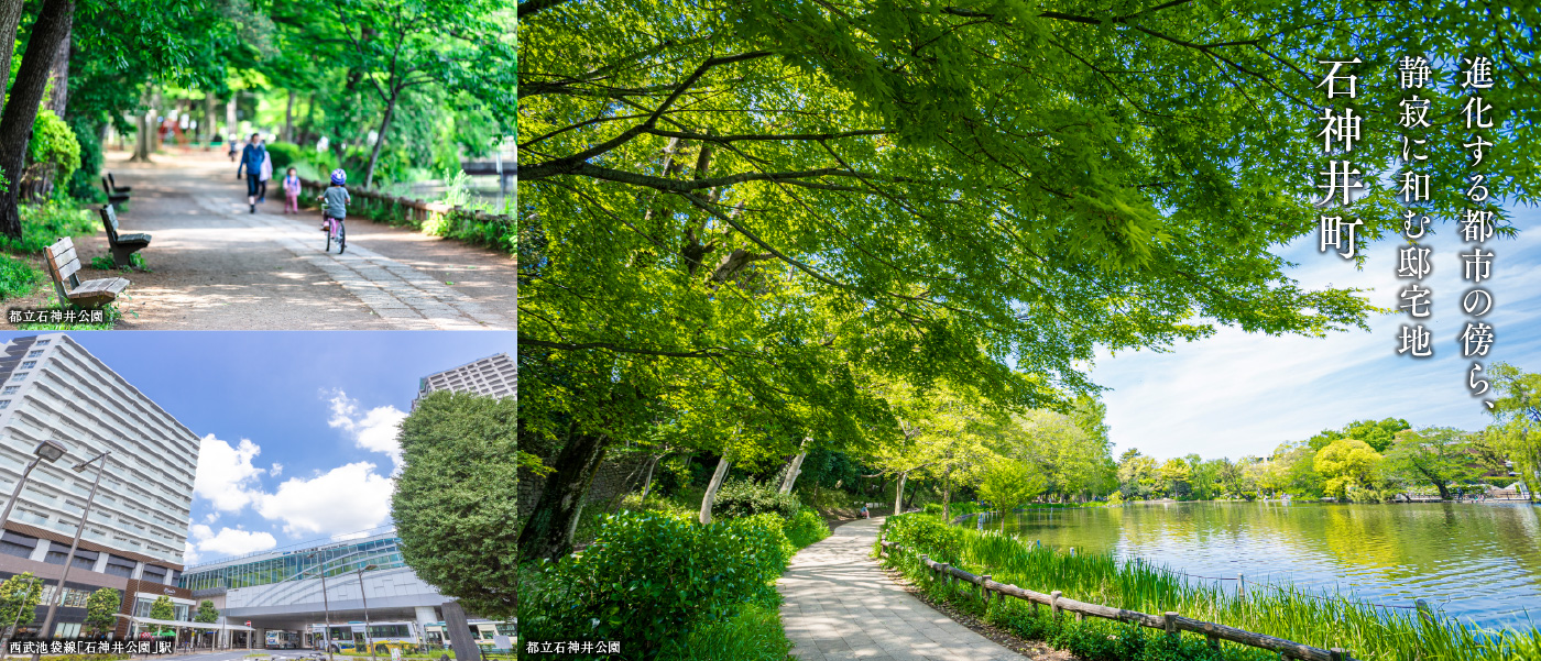 進化する都市の傍ら、静寂に和む邸宅地 石神井町