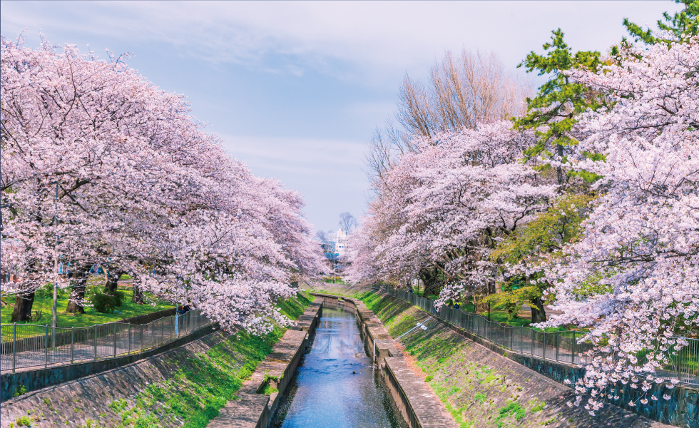 都立善福寺川緑地／Image Photo（徒歩4分・約280m〜約295m）