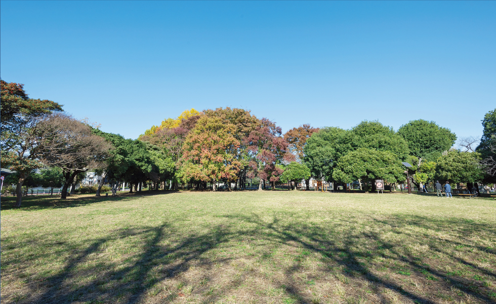 都立善福寺川緑地（徒歩4分・約280m〜約295m）