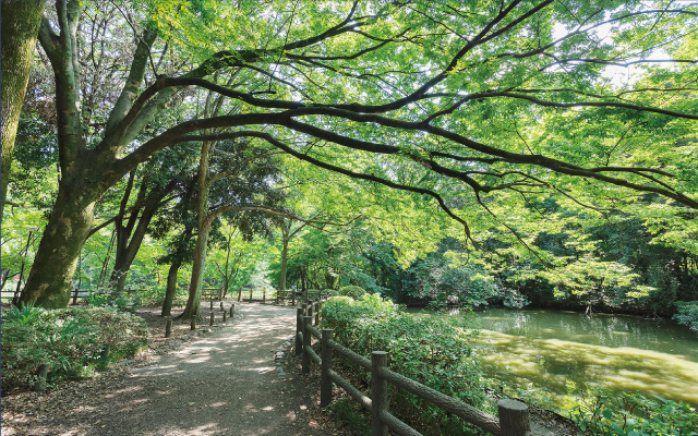 都立和田堀公園（徒歩16分・約1,210m〜約1,250m）