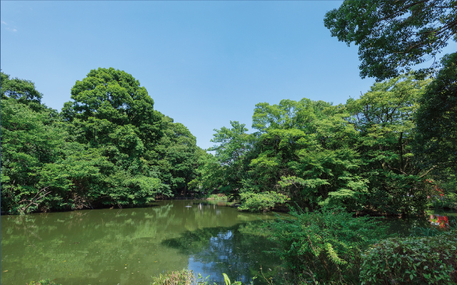 都立和田堀公園（徒歩16分・約1,210m〜約1,250m）