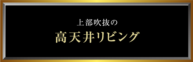 上部吹抜の高天井リビング