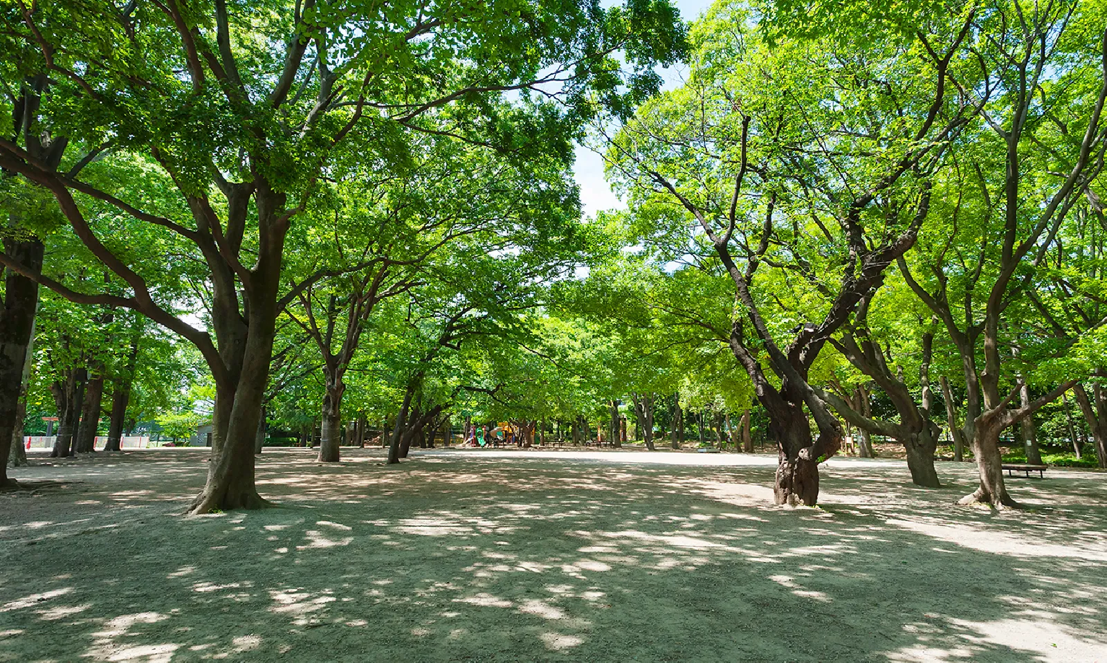 井草森公園